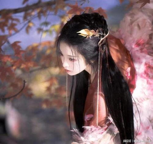 重逢于千帆尽头