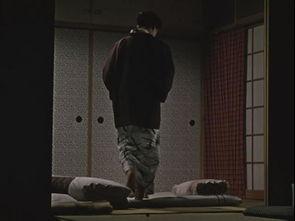 秋日和,秋日里的诗意时光