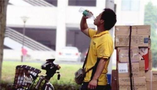 快递高手,揭秘高效物流背后的智慧与速度